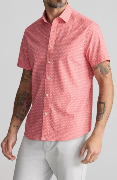 Untuckit Crab Print Short Sleeve Performance Button-up Shirt In Pink