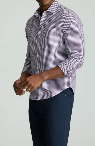 Untuckit Lawrence Gingham Wrinkle Free Cotton Button-up Shirt In Purple