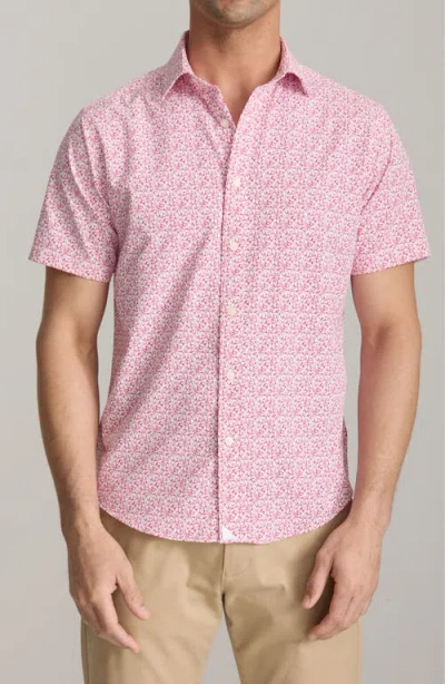 Untuckit Mavrud Leaf Print Short Sleeve Performance Button-up Shirt In Pink