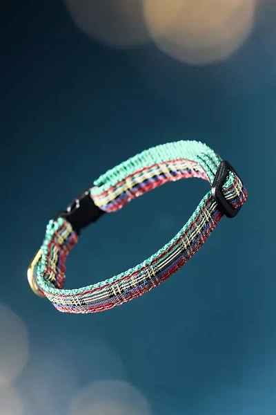 Up Country Holiday Cat Collar In Multicolor