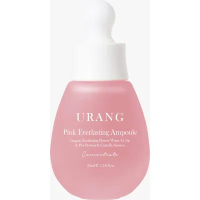Urang Pink Everlasting Ampoule