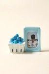 Urban Outfitters Blueberry Instax Mini Picture Frame Vase In Blue At