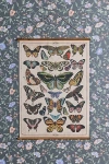 Urban Outfitters Butterfly Chart Burlap Wall Hanging At