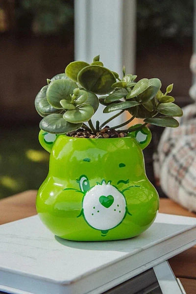 Urban Outfitters Care Bears Ceramic Mini Succulent Planter In Green At