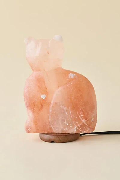 Urban Outfitters Cat Shaped Himalayan Salt Lamp In Peach At  In Pink