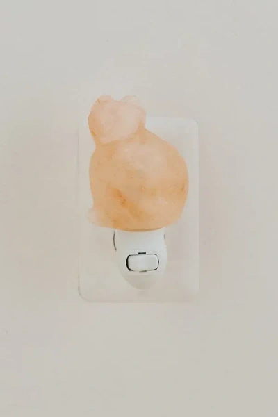 Urban Outfitters Cat Shaped Himalayan Salt Lamp Night Light In Peach At  In Pink