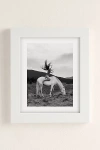 Urban Outfitters Dagmar Pels Wild Horse Girl Art Print In White Matte Frame At
