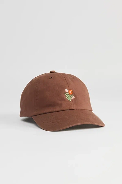 Urban Outfitters Floral Icon Dad Hat In Brown At