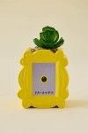 Urban Outfitters Friends Peephole Frame Succulent Planter In Yellow At