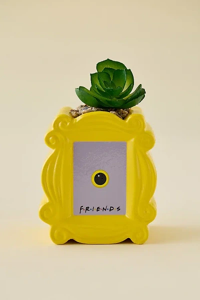 Urban Outfitters Friends Peephole Frame Succulent Planter In Yellow At