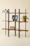 Urban Outfitters Ginny Folding Collapsible Storage Shelf In Chocolate At  In Multi