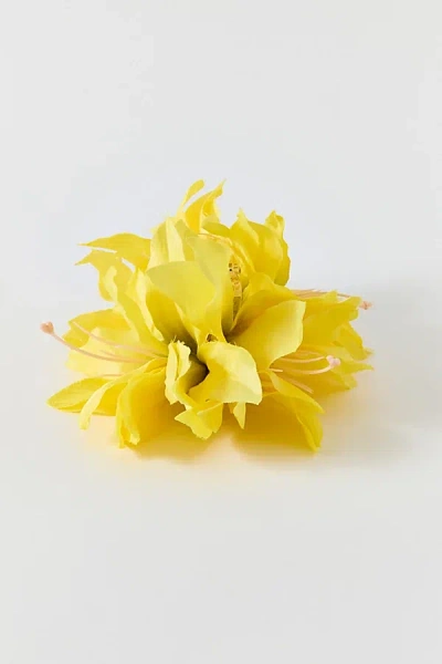 Urban Outfitters Gladiolus Flower Claw Clip In Yellow, Women's At