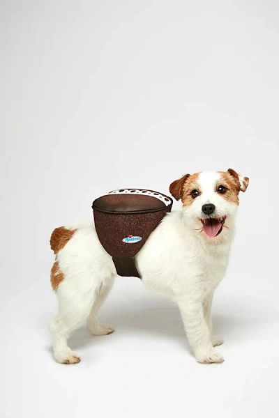 Urban Outfitters Hostess Sweet Treat Halloween Pet Costume In Cupcake At