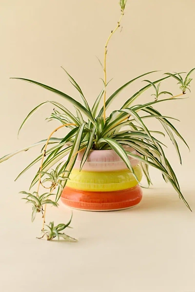 Urban Outfitters Inflated Pool Floatie Ceramic Planter In Orange At