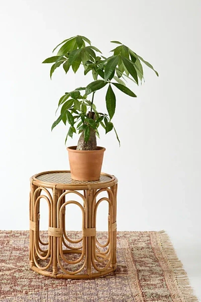 Urban Outfitters Karoline Round Rattan Side Table In Natural At