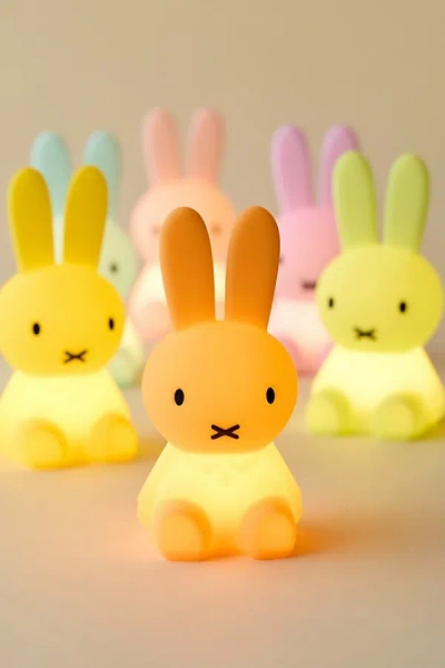Urban Outfitters Miffy Bundle Of Light Blind Box Figure Light At  In Burgundy