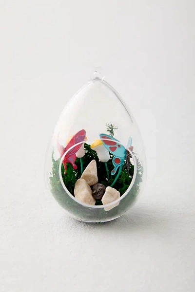 Urban Outfitters Mini Fairy Terrarium By Eugene Fletcher In Assorted At  In Multi