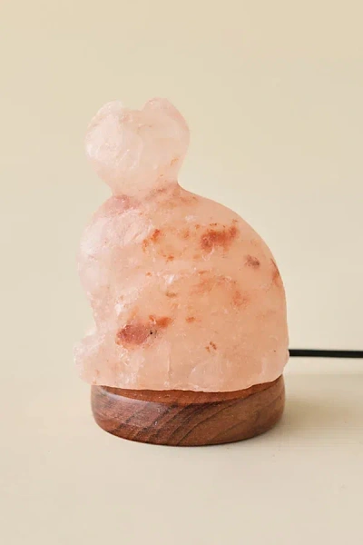 Urban Outfitters Mini Usb Cat Himalayan Salt Lamp In Peach At  In Pink