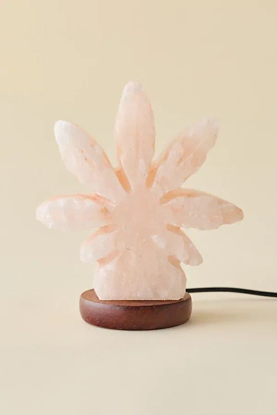 Urban Outfitters Mini Usb Hemp Leaf Himalayan Salt Lamp In Peach At  In Pink