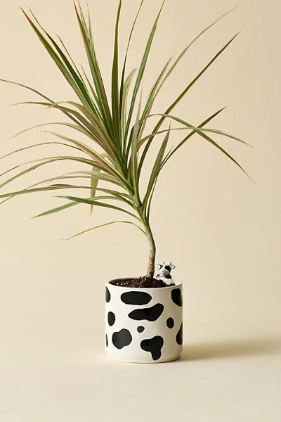 Urban Outfitters Moo Peeking Cow Ceramic Planter In Black/white At  In Neutral