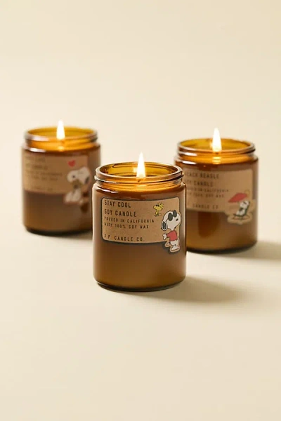 Urban Outfitters P. F. Candle Co. X Peanuts Uo Exclusive 7 oz Scented Candle In Stay Cool At  In Brown