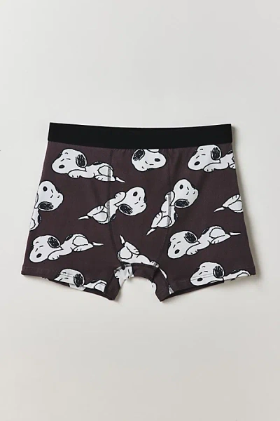 Urban Outfitters Peanuts Snoopy Pattern Boxer Brief In Brown, Men's At