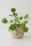 Urban Outfitters Peeking Animal Planter In Frog Clover At  In Blue