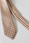 Urban Outfitters Polka Dot Neck Tie In Tan, Men's At  In Neutral