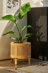 Urban Outfitters Rattan 12" Planter In Natural At
