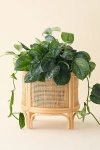 Urban Outfitters Rattan 12" Planter In Neutral At