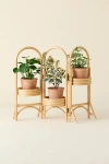 Urban Outfitters Rattan Tiered Plant Stand In Neutral At  In Brown