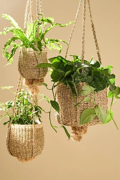 Urban Outfitters Seagrass Rattan Hanging Basket Planter Set In Neutral At