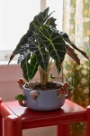 Urban Outfitters Sprouting Mushroom Ceramic Planter In Large Lavender At  In Purple