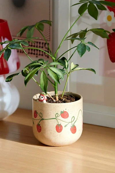 Urban Outfitters Strawberry Cat Planter In Cream At  In White