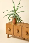 Urban Outfitters Tabitha Media Cabinet In Acorn At  In Brown