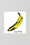 Urban Outfitters The Velvet Underground - The Velvet Underground & Nico Lp In Black At