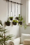 Urban Outfitters Triflora Large Hanging Planter In Black At