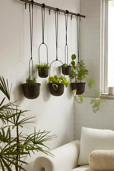 Urban Outfitters Triflora Large Hanging Planter In Black At  In Brown