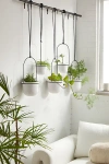 Urban Outfitters Triflora Large Hanging Planter In White At  In Black