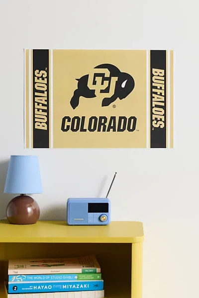 Urban Outfitters University Of Colorado Buffaloes Poster At  In Multi