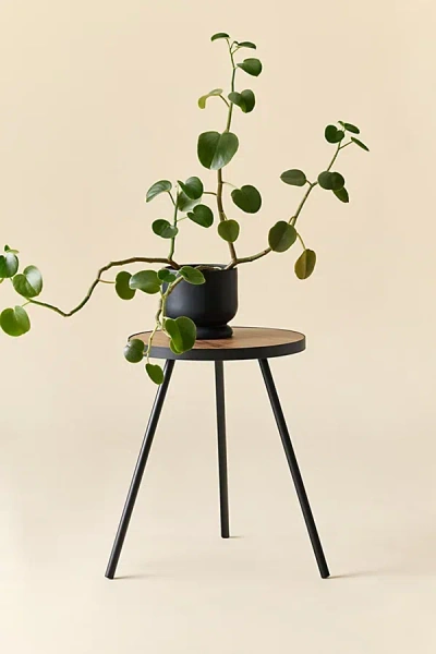 Urban Outfitters Violet Metal Tri-leg Side Table In Black At
