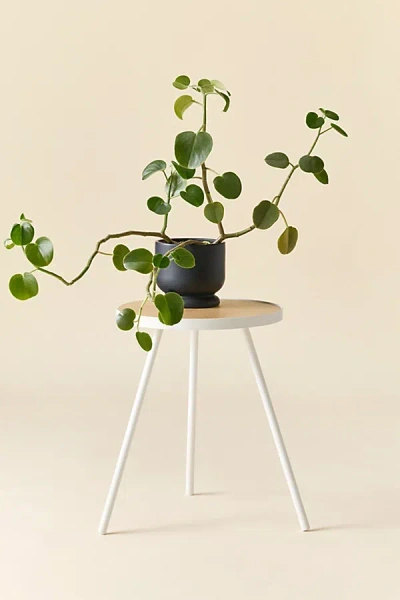 Urban Outfitters Violet Metal Tri-leg Side Table In White At