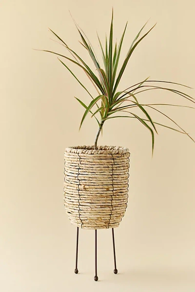 Urban Outfitters Woven Rattan Basket Planter In Brown At  In Neutral