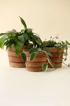 Urban Outfitters Woven Seagrass & Jute Basket Plant Cover Set In Red And Neutral At