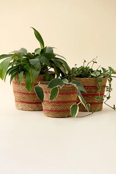 Urban Outfitters Woven Seagrass & Jute Basket Plant Cover Set In Red And Neutral At