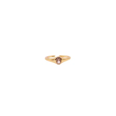 Urbane Jewelry Studio Women's Gold Crystal Signet Ring - Adjustable