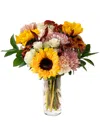 Urbanstems The Sunflower Field Fresh Flower Bouquet In Multi