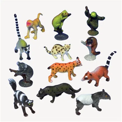 Us Toy Company Rain Forest Animals - Pack Of 12
