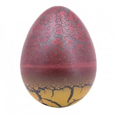 Us Toy Company Us Toy Colossal Growing Dragon Egg Toys