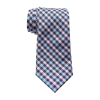 Uspa U.s. Polo Assn. Gingham Tie In Blue